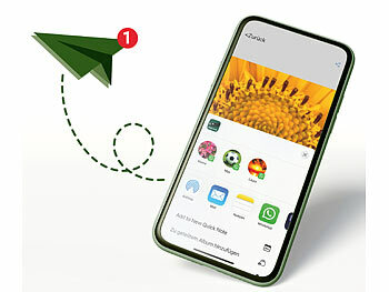 Entdecker-Adventskalender zum Forschen und Staunen