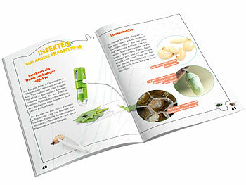 Adventskalender Experimentieren und Entdecken