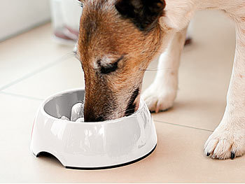 Haustier Futter- & Wasser-Napf
