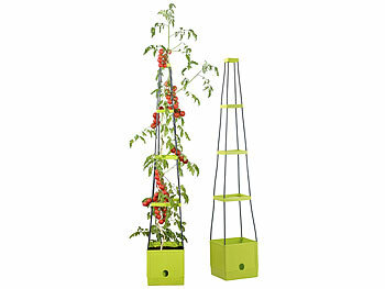 Tomatenrankhilfe