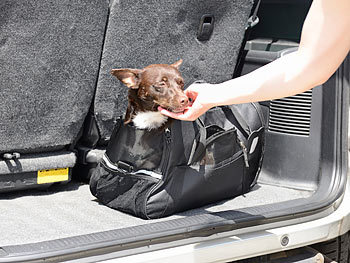 Transporttasche Hund Auto