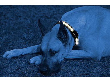 infactory LED-Leuchtband mit kinetischer Leucht-Funktion, für große Hunde