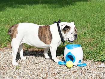 Sweetypet Futterbasiertes Intelligenz-Spiel für Hunde, Versandrückläufer