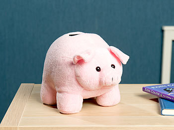 Geschenk Geldgeschenk Geld Geldschein Stofftier Spielzeug Kind Münze Schwein Plüschtier