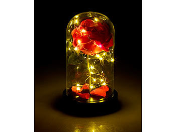LED Glaskuppel Frühling Sommer Dekoration 2er Set mit LED Beleuchtung Deko NEU 