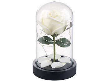 Lunartec Rose im Glas: Edle Kunst-Rose mit LED-Beleuchtung in  Echtglas-Kuppel, weiß (LED-Beleuchtete Rose, Real Touch, mit Glaskuppel)