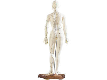 Akupunktur Menschenfigur, Übungsmodell, Einzelmodell, Anatomiemodelle mit Behandlungspunkten