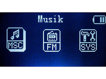 auvisio 3in1-MP3-Player LCD mit FM-Transmitter & Radio (Versandrückläufer)