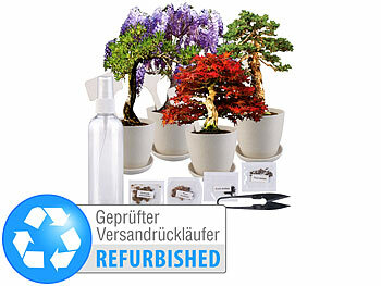 Bonsai Pflanzenzucht: Royal Gardineer Bonsai-Anzuchtset, 4 Arten, Töpfe, Untersetzer, Versandrückläufer