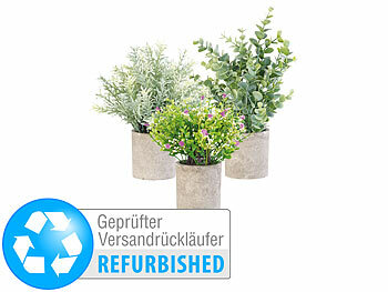 Echt wirkende Pflanzen: Carlo Milano 3er-Set künstliche Deko-Pflanzen mit Töpfen, Versandrückläufer 