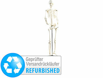 Modell Skelett: newgen medicals Original Lehrmittel Anatomie Skelett auf Ständer, Versandrückläufer