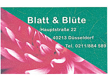 Sattleford 60 Visitenkarten gestanzt "Business Blade" 195 g/m²