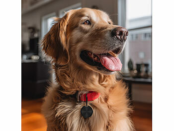 Android-Netzwerk-Tracker für Google Mein Gerät finden für Gepäck 