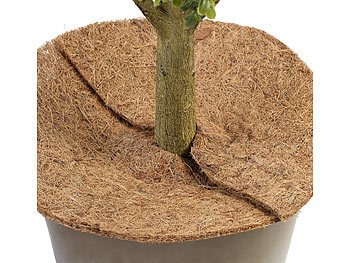 Royal Gardineer 6er-Set runde Frostschutz-Kokosmatten für Topfpflanzen, Ø 38 cm