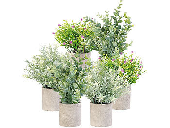 Kunstpflanze: Carlo Milano 6er Set künstlicher Pflanzen inkl. Töpfe, Dekopflanzen für Schreibtisc