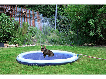 Katze Haustier Hund Pool Spiel Tier Kinderspielzeug Wasserspaß