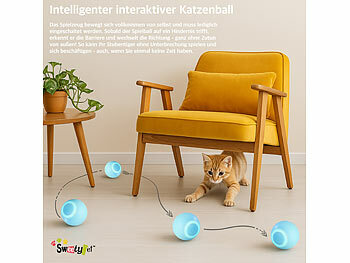 Katzen-Rollball-Spielzeuge