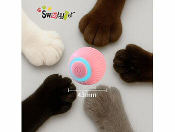 Sweetypet 2er-Set Akku-Katzenspielzeuge mit LED-Licht, blau und pink
