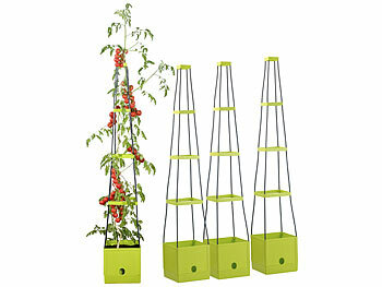 Pflanzkübel mit Wasserspeicher für Tomaten