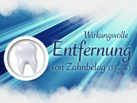 newgen medicals 8x Ersatzbürsten für Oral-B Zahnbürsten mit oszillierenden Rundbürsten newgen medicals
