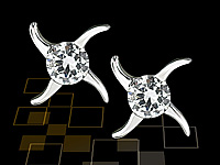 St. Leonhard Sternförmige Stecker mit Zirkonia St. Leonhard Ohrstecker aus 925er-Sterling-Silber