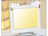 PEARL Katzenpaar für LCD/Plasmamonitore/-fernseher liegend PEARL TFT-Monitore