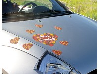 Sattleford 20 Klebefolien A4 transparent f&uuml;r Inkjet Sattleford Bedruckbare Klebefolien