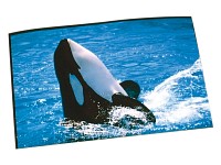 Schwarzwald Mühle 6 Bl. Fotopapier glossy/matt "Duo Print Pro" 217g/A4 Schwarzwald Mühle